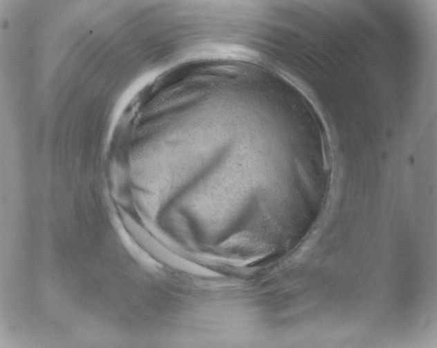 X0000051881152200507081907