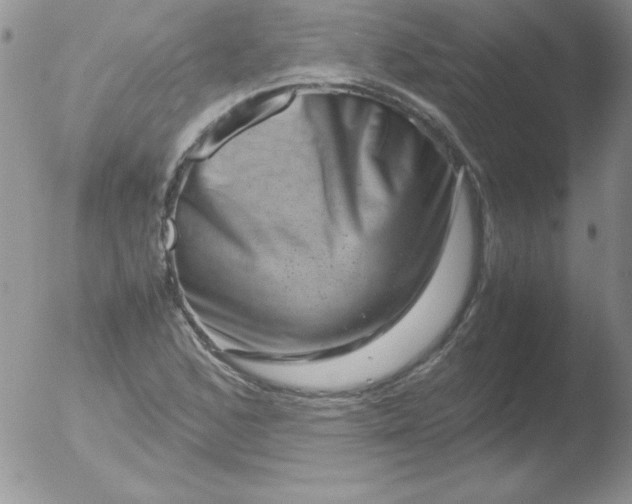 X0000051881168200507081906