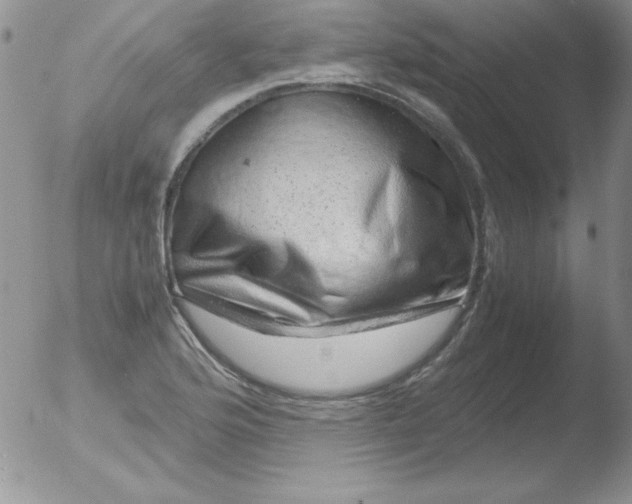 X0000051881176200507081906
