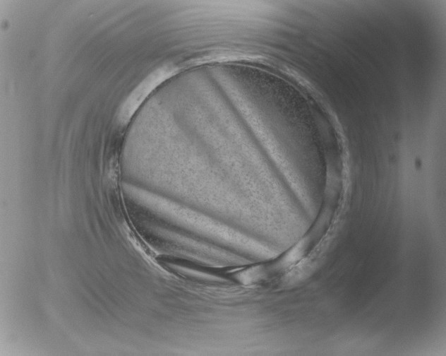 X0000051881185200507081905