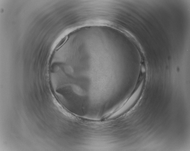 X0000051881192200507081905