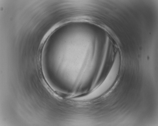 X0000051881196200507081905