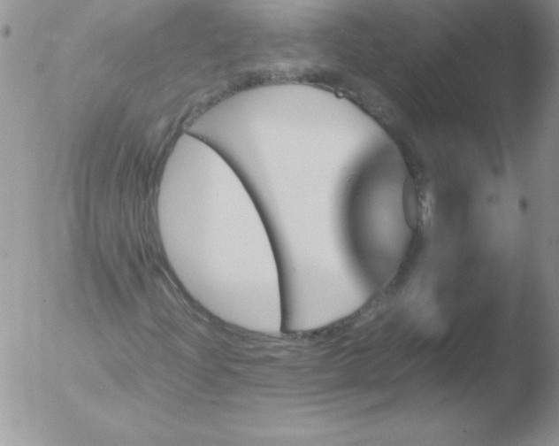 X0000051881204200507081904