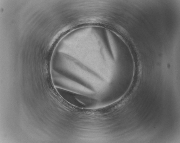X0000051881218200507081905