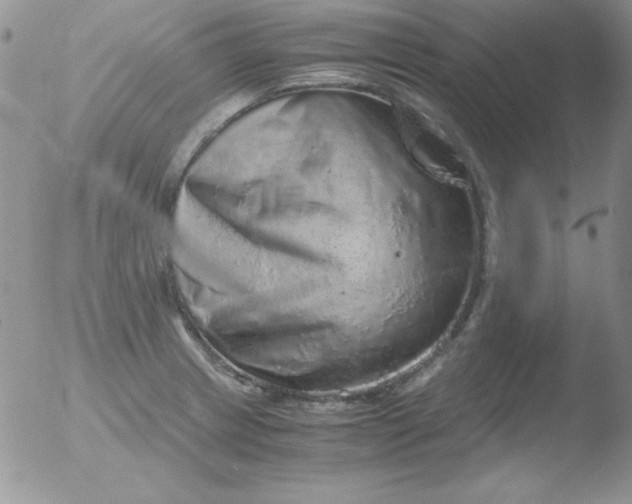 X0000051881233200507081905