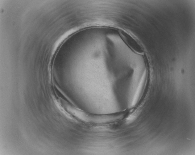 X0000051881238200507081905