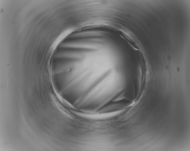 X0000051881242200507081905