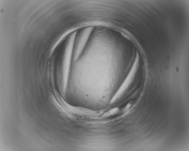 X0000051881244200507081905