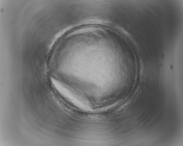 X0000051881264200507081904