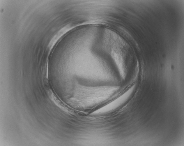 X0000051881276200507081904