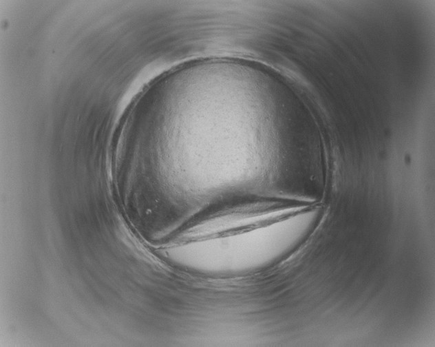 X0000051881280200507081904