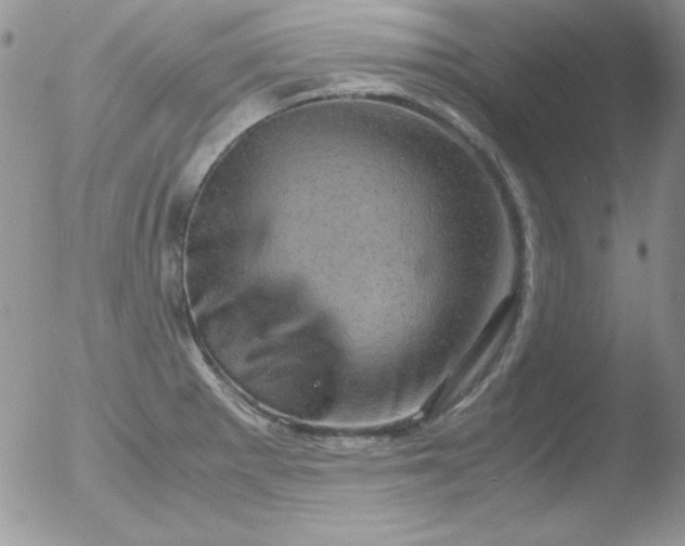X0000051881281200507081904