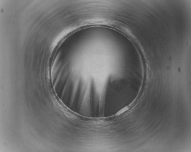 X0000051881328200507081903