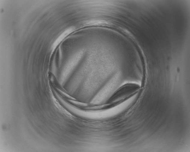 X0000051881330200507081903