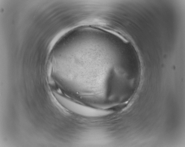 X0000051881344200507081904