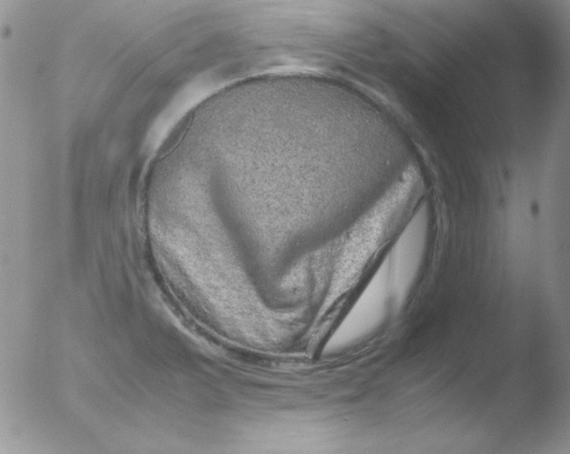 X0000051881375200507081902