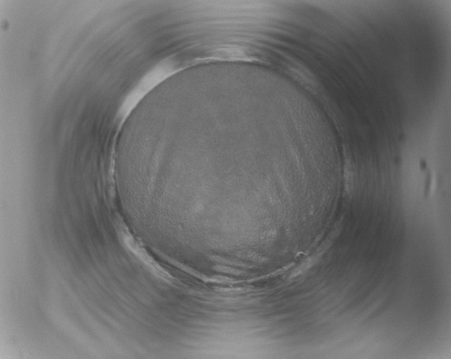 X0000051881378200507081902