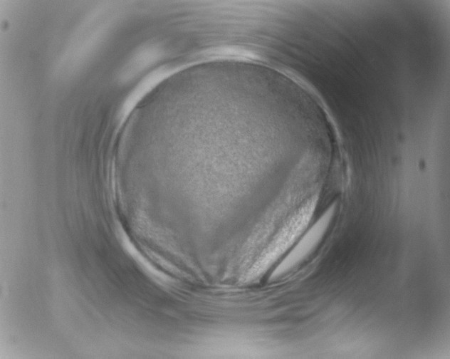 X0000051881391200507081902