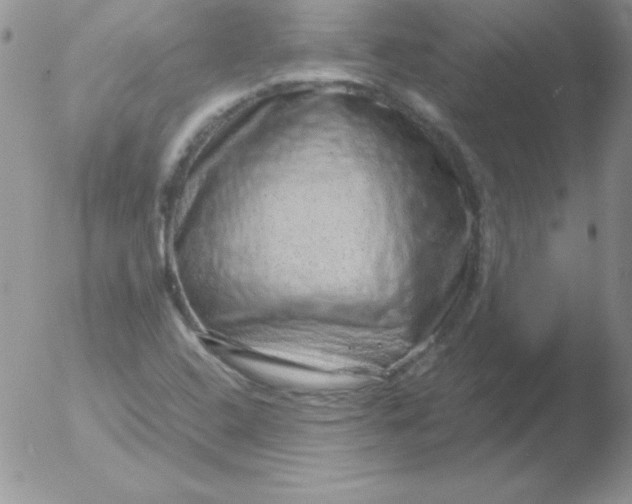 X0000051881408200507081901