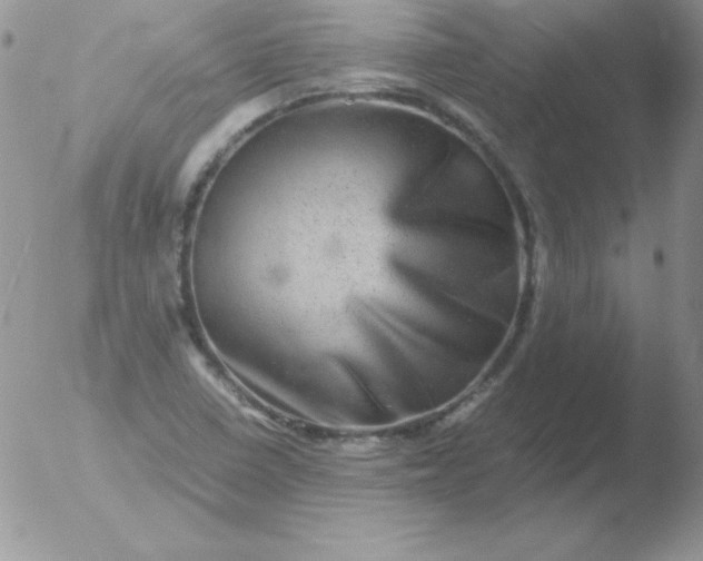 X0000051881410200507081901