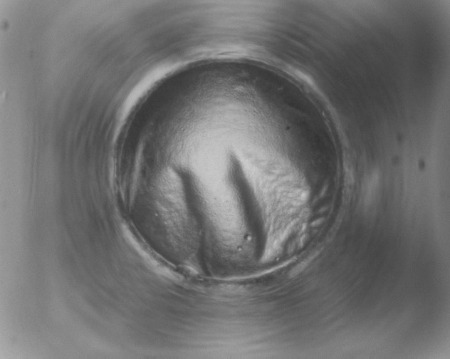 X0000051881424200507081902