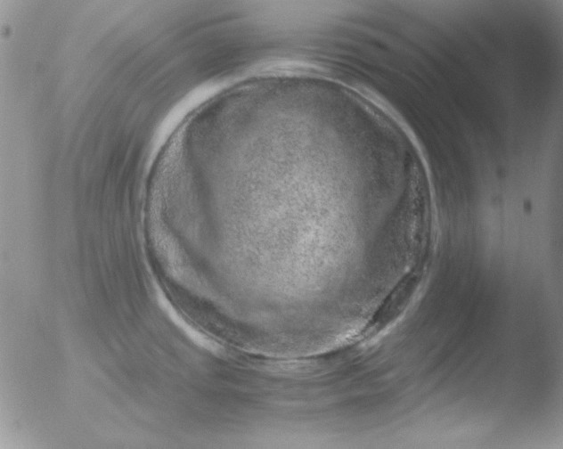 X0000051881437200507081902