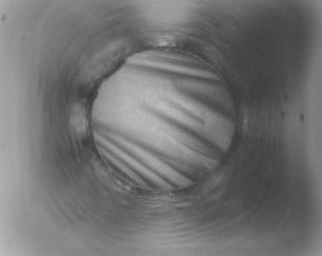X0000051881442200507081901