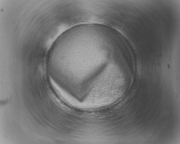 X0000051881460200507081901