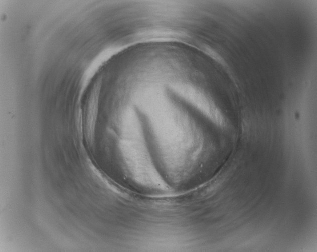 X0000051881472200507081901