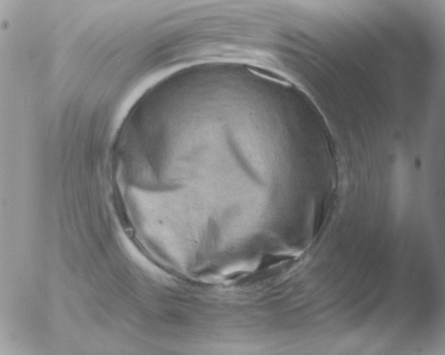 X0000051881531200507081900