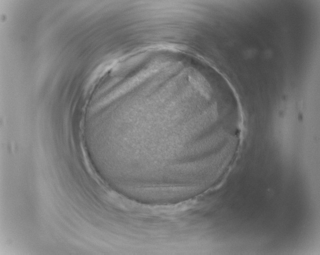 X0000051880001200507151924