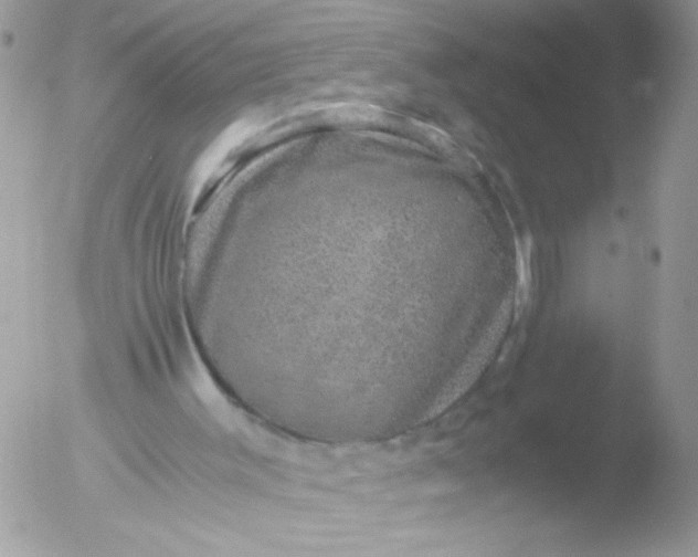 X0000051880003200507151924