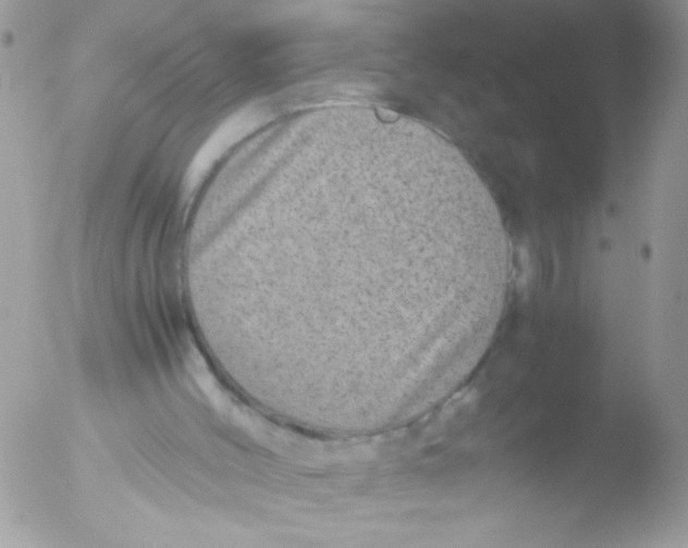 X0000051880004200507151924