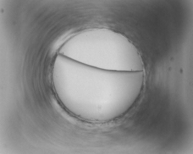 X0000051880005200507151924