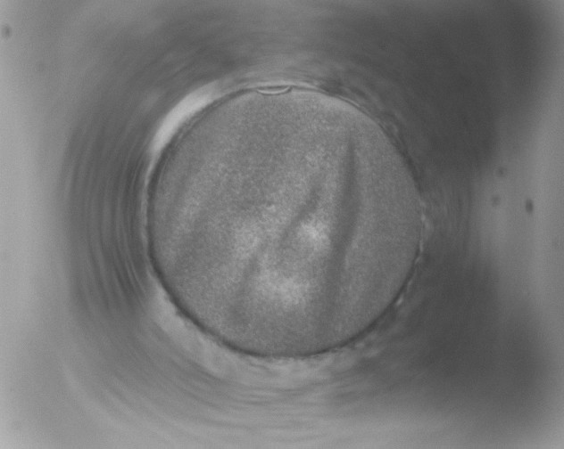 X0000051880006200507151924