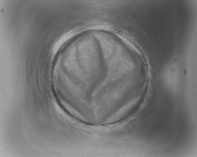 X0000051880007200507151924