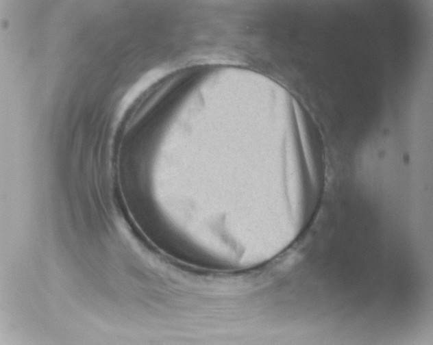 X0000051880008200507151924