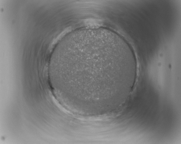 X0000051880009200507151924