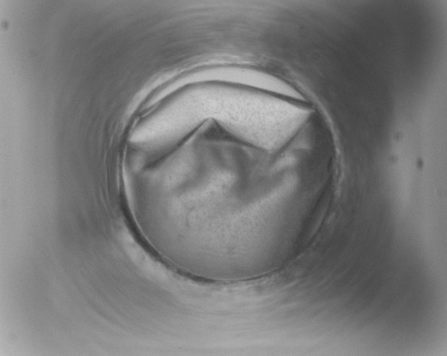 X0000051880011200507151924