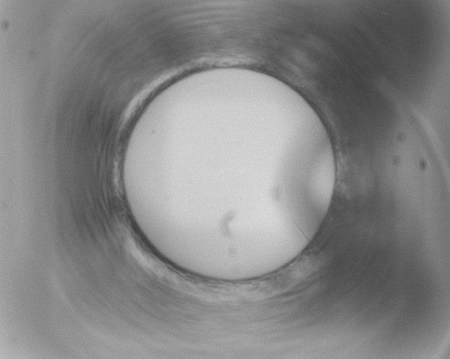 X0000051880012200507151924