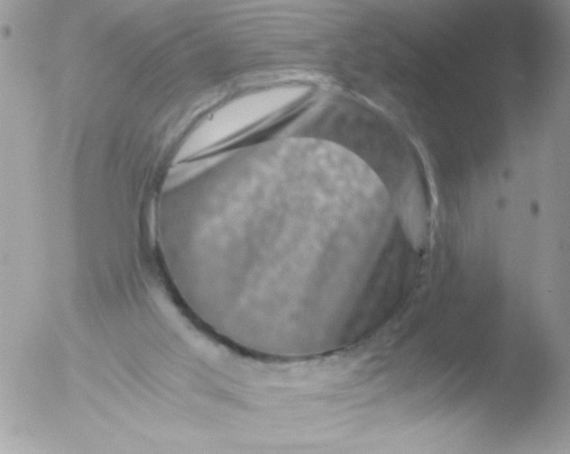 X0000051880013200507151924