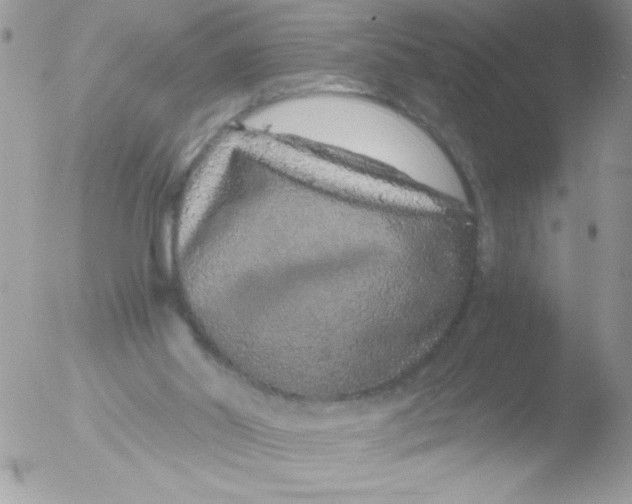 X0000051880014200507151924