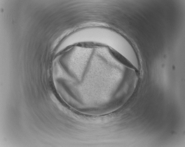 X0000051880015200507151924