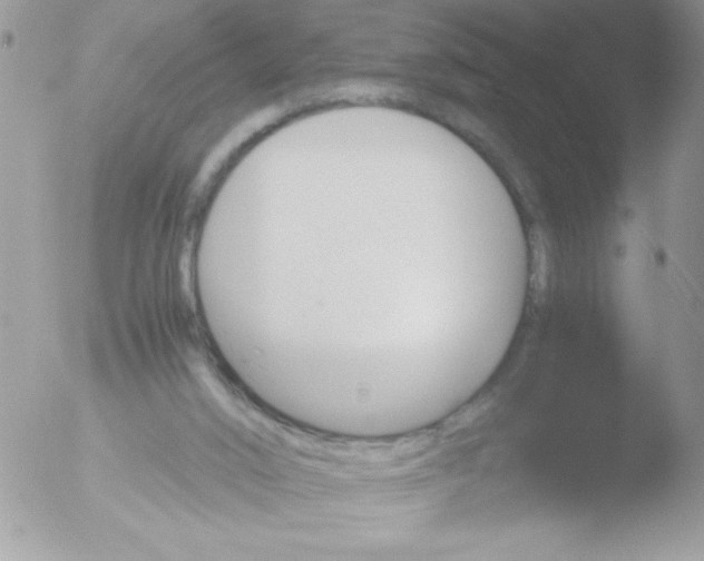 X0000051880016200507151924