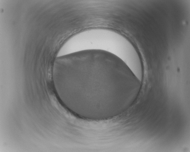 X0000051880017200507151924