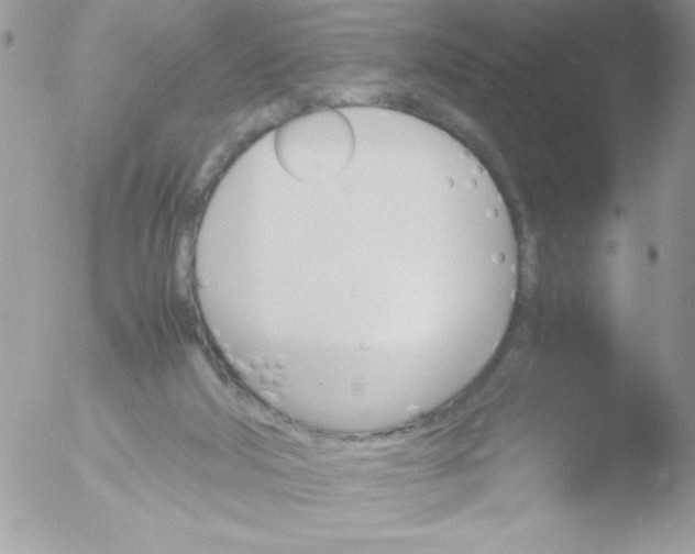 X0000051880018200507151924