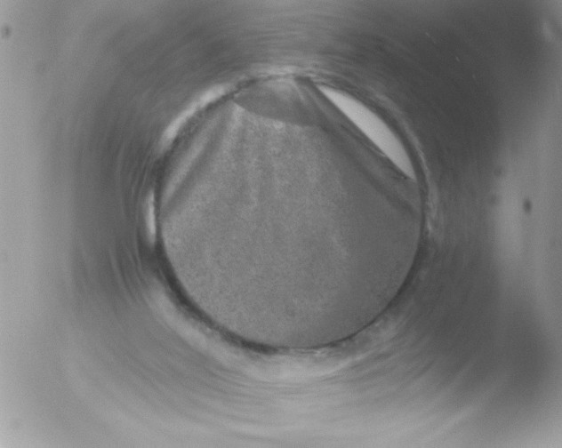 X0000051880020200507151924