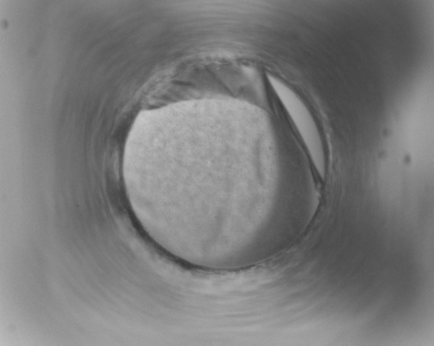 X0000051880021200507151924