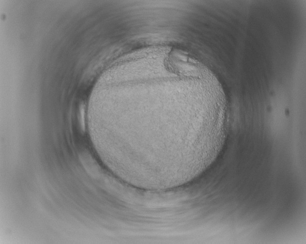 X0000051880022200507151924