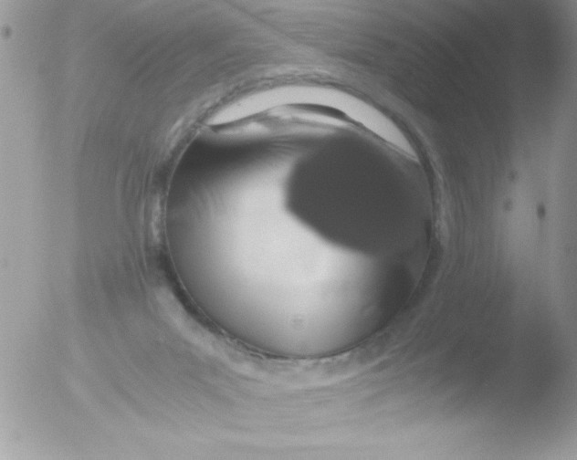 X0000051880023200507151924